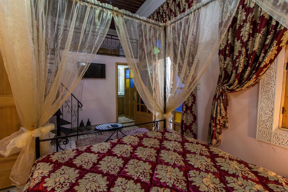 RIAD TARYANA 30/53
