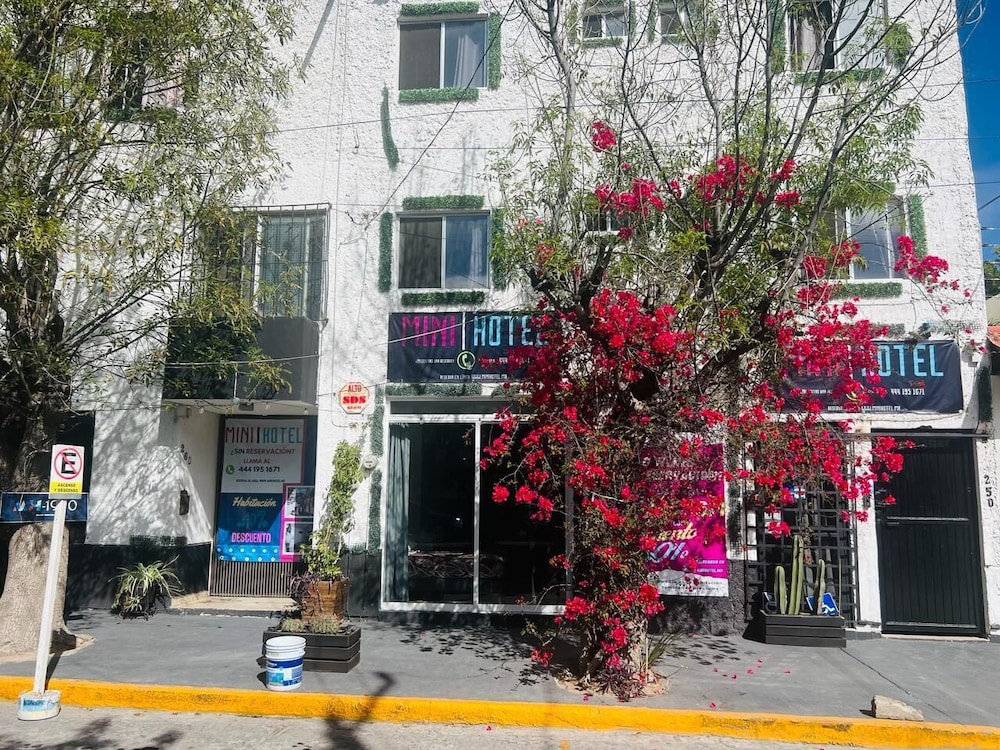 Suites Ejecutivas KenZi 59/67