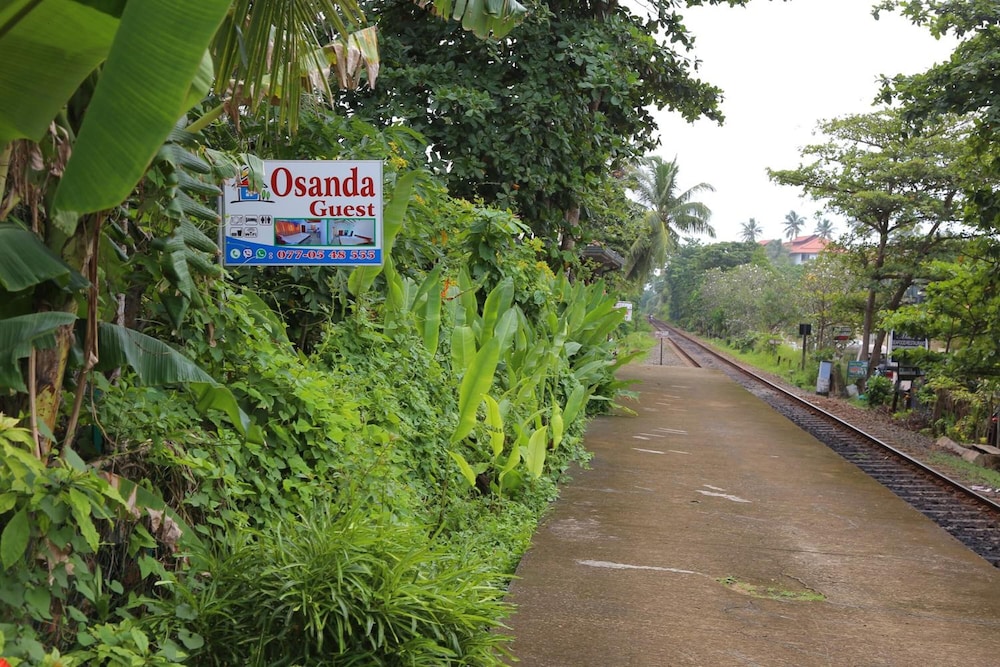 Osanda Guest 36/41