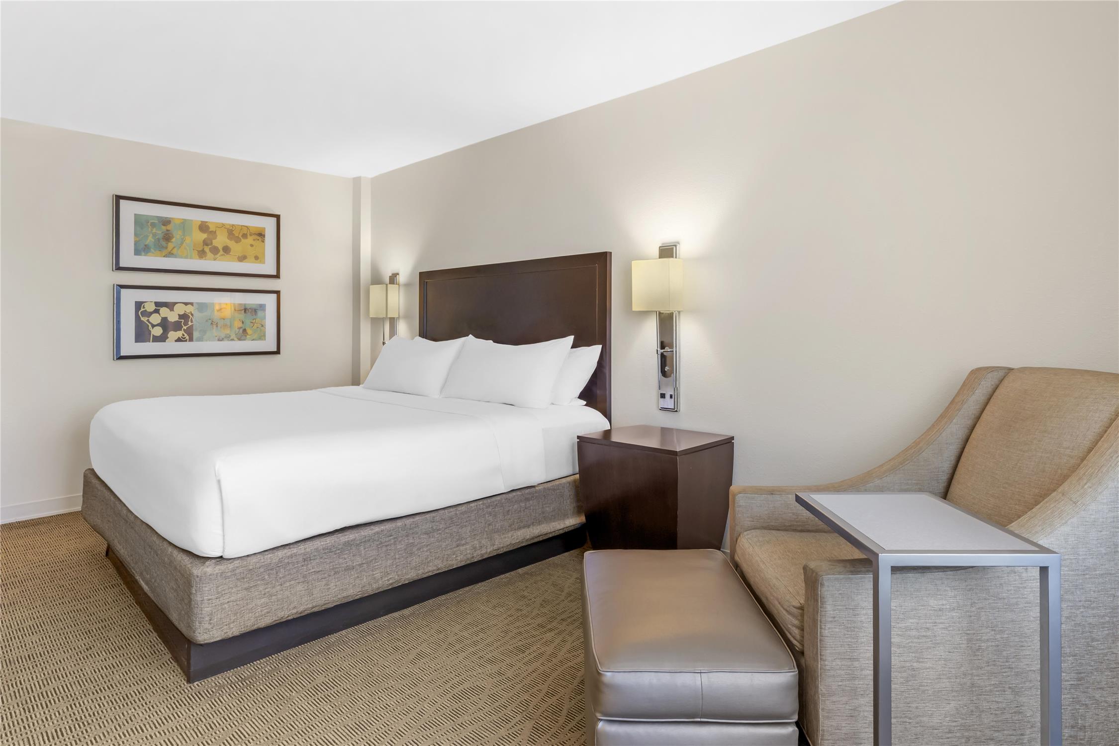 Sonesta Atlanta Airport North 13/60