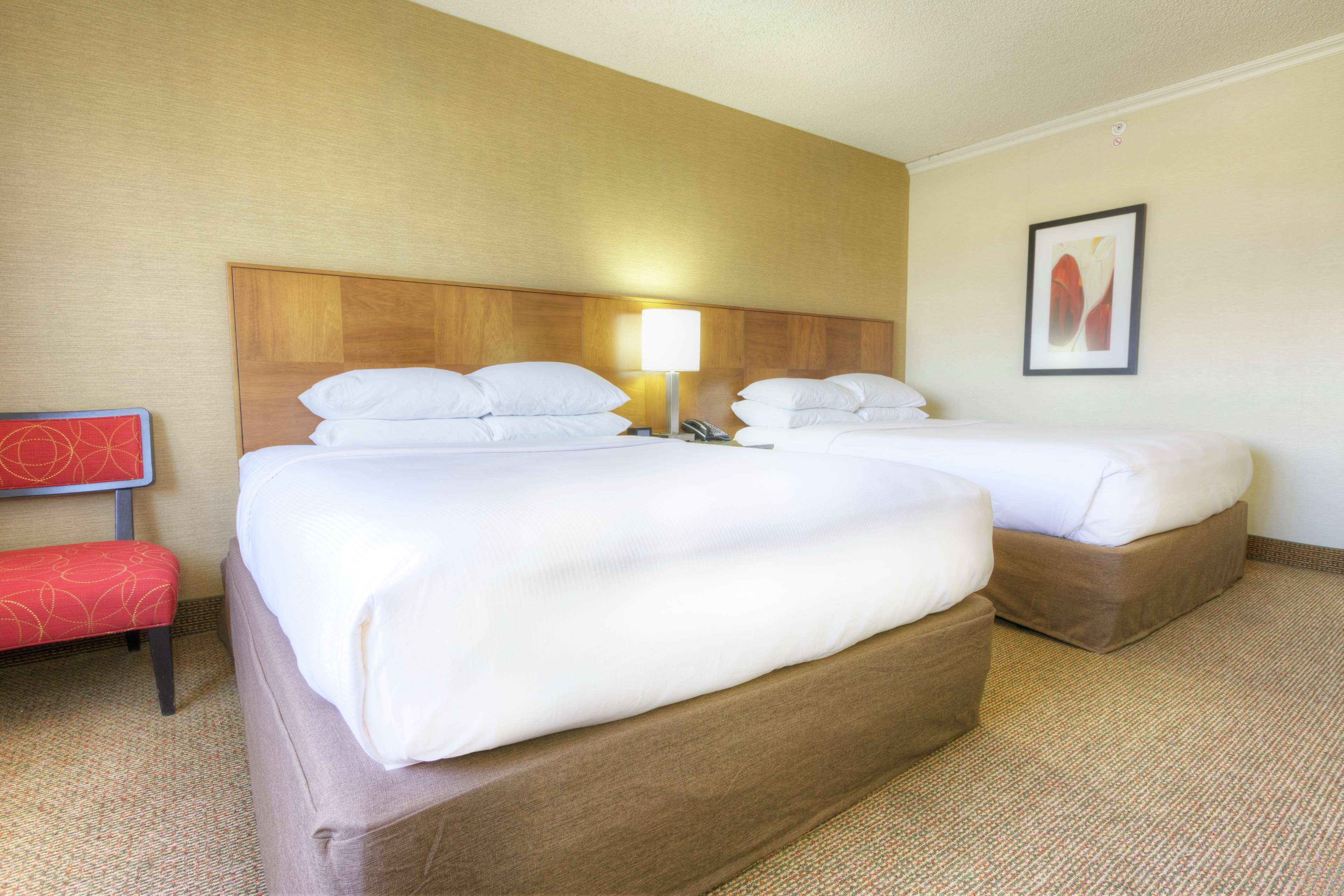 Room, 2 Queen Beds