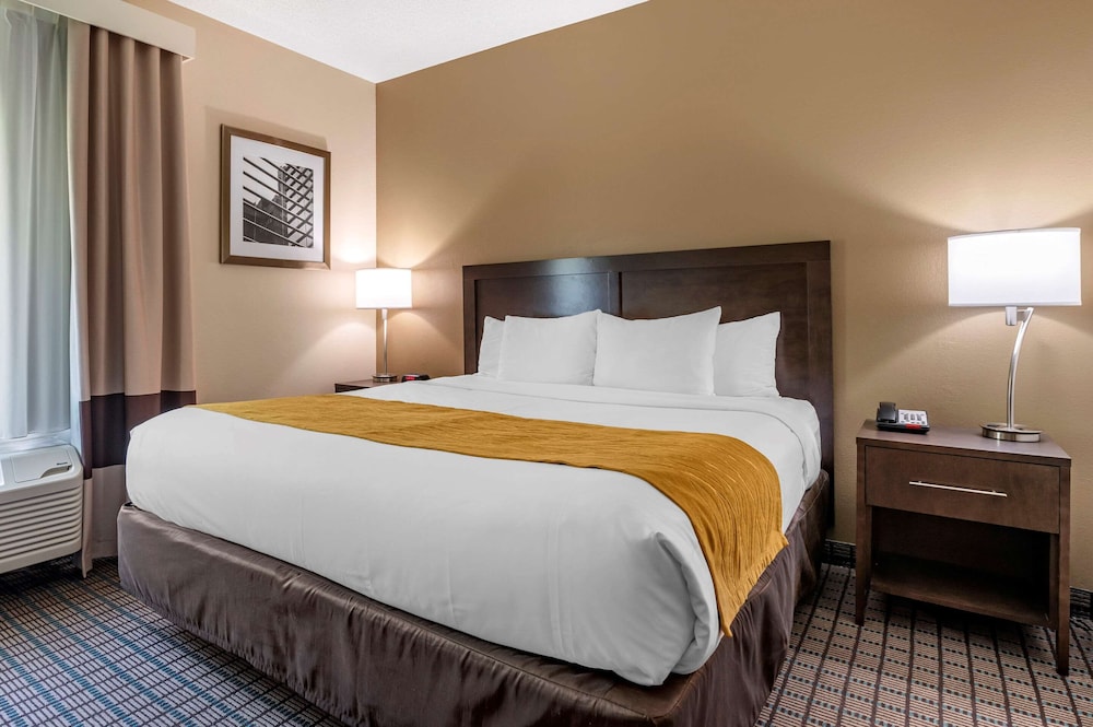 Comfort Inn & Suites Cincinnati Uptown Clifton 17/45