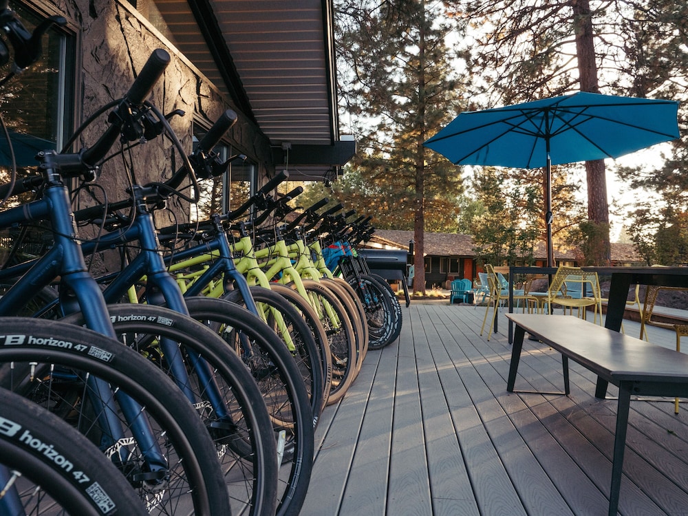 LOGE Mt. Shasta 37/43