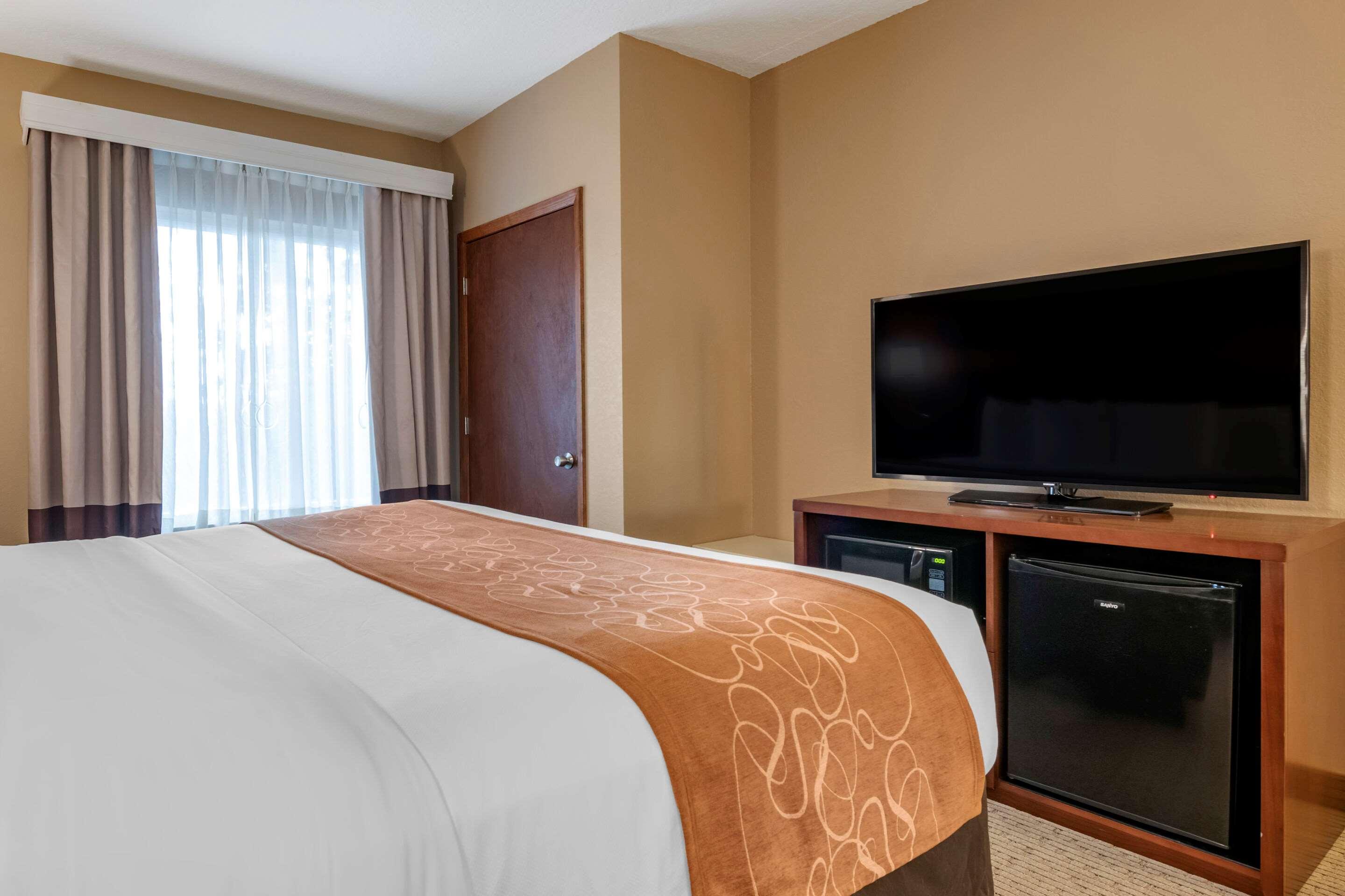 SUITE, KING BED, ACCESSIBLE