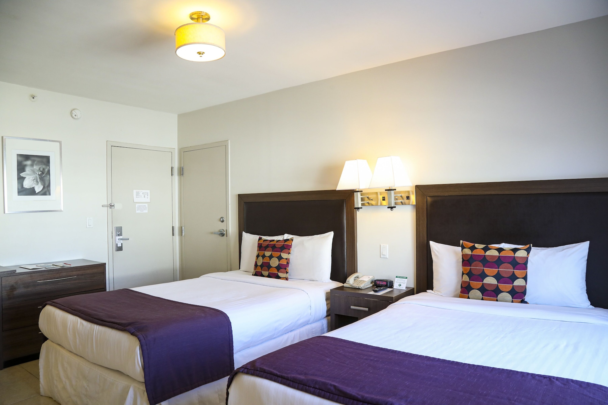 Standard Double, Mobility Accessible Room