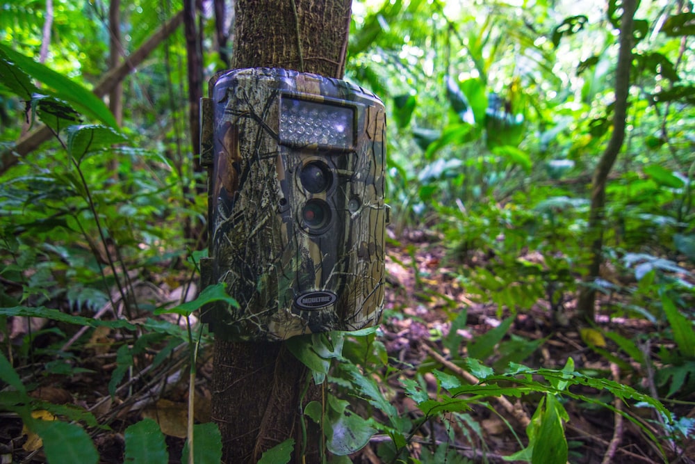 Bocawina Rainforest Resort Adventures 39/50