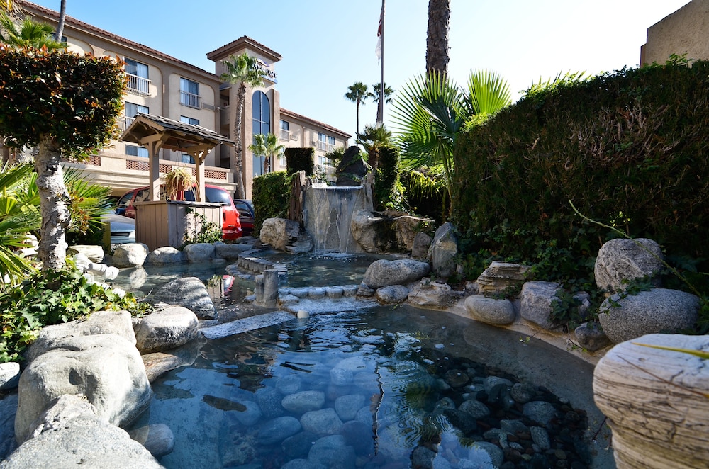 swimming pool spa
