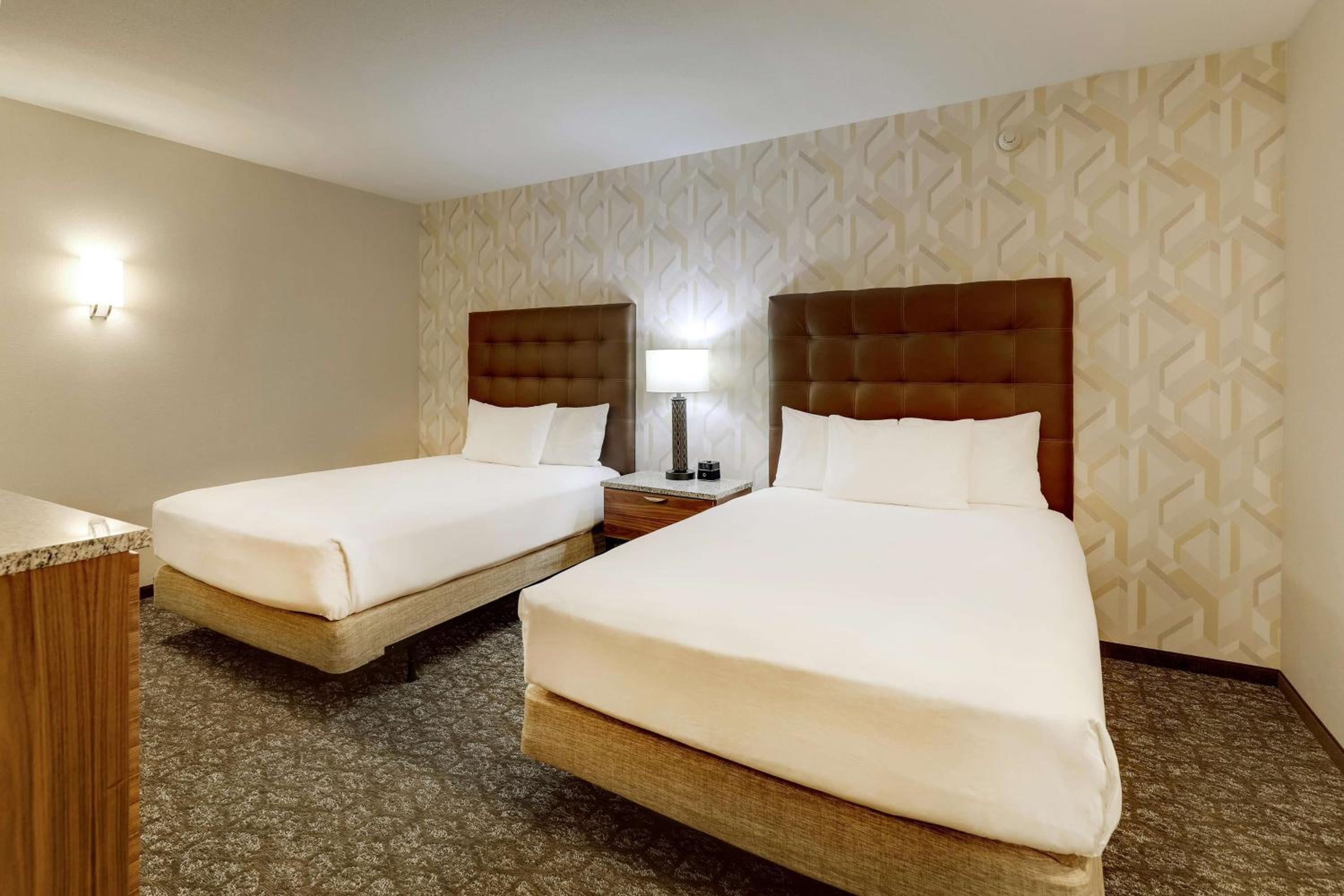 Suite, Queen Bed, Sofa, Accessible