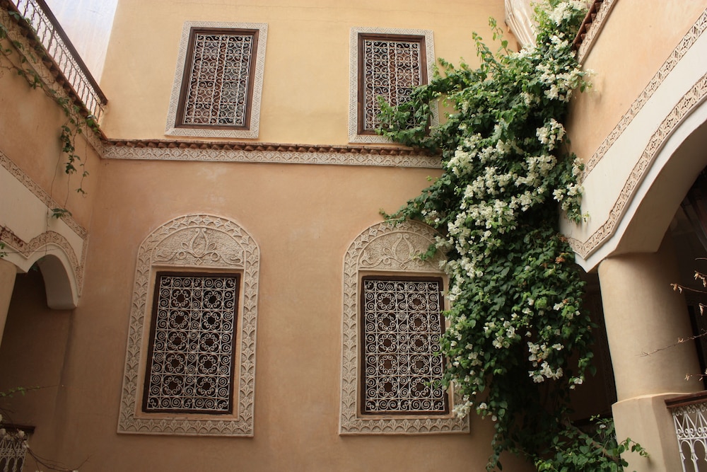 Riad Lorsya 1/46