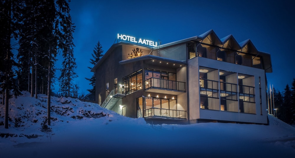 Vuokatin Aateli Hotel 1/41