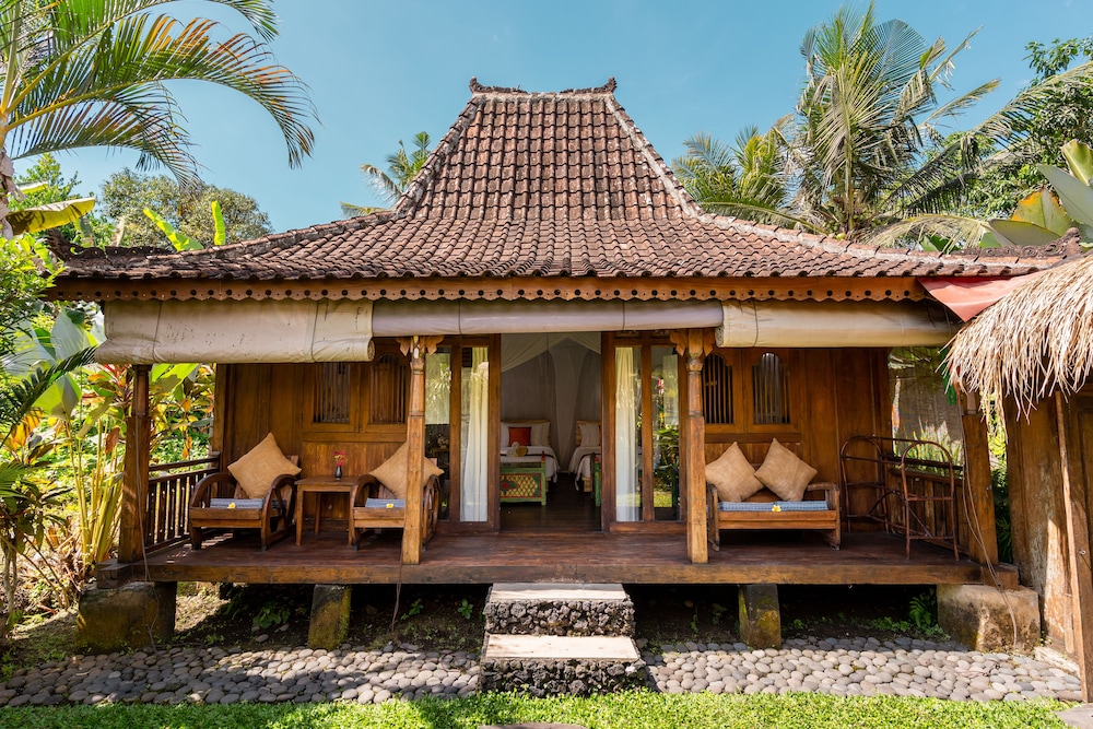 The Shala Bali 1/50
