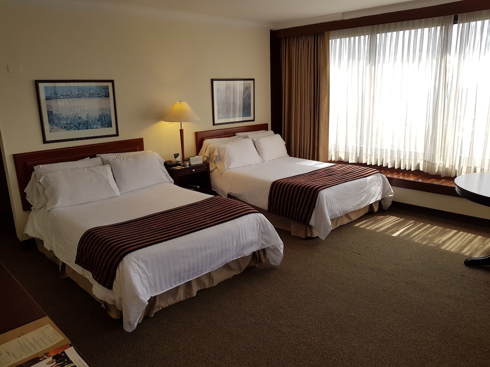 Torre de Cali Plaza Hotel 33/67