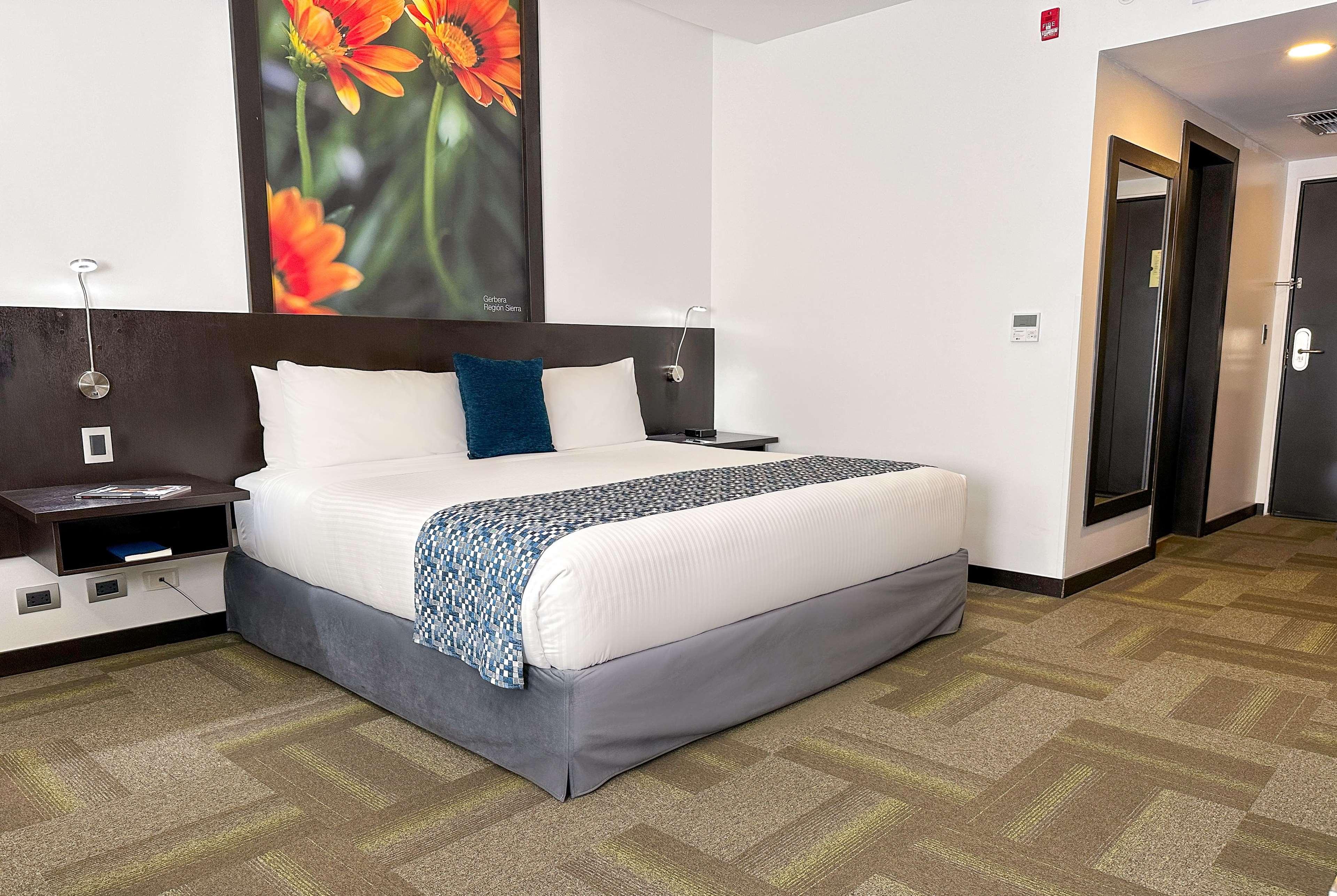 Room, King Bed
