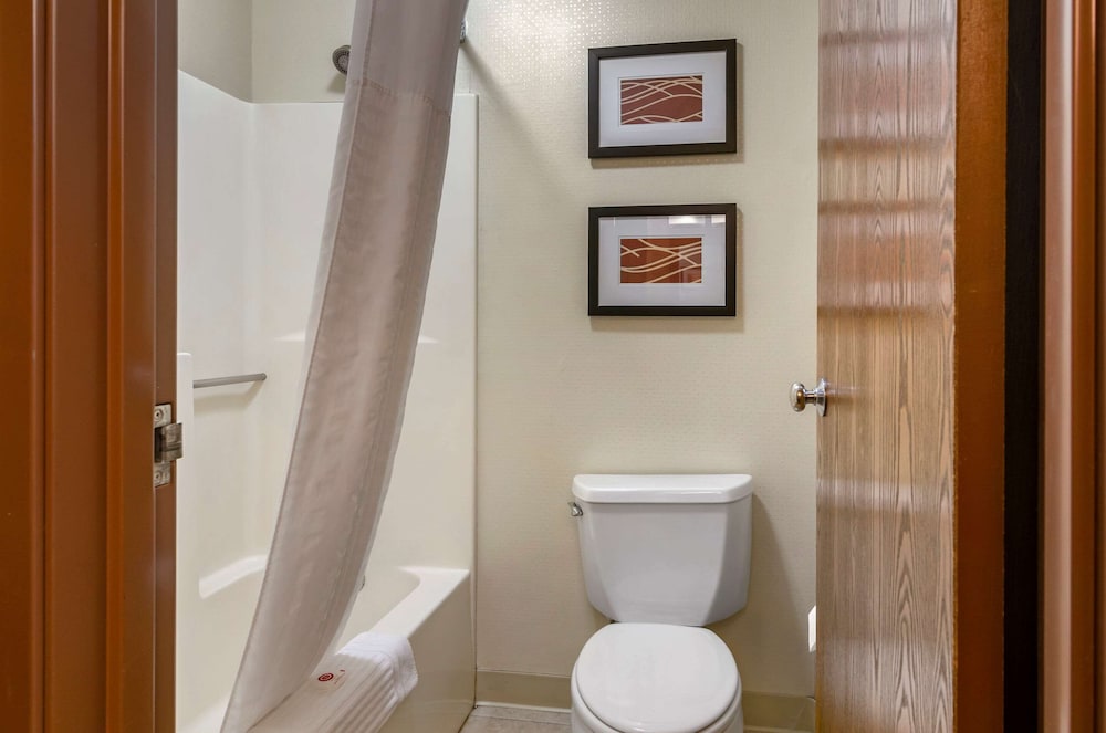 Comfort Inn Bozeman near University 16/41