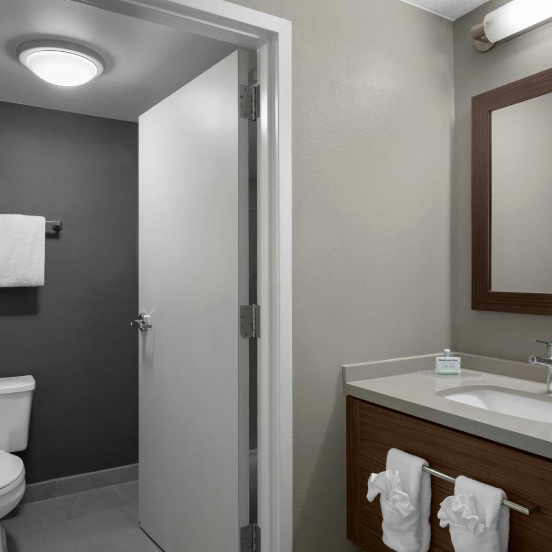 غرفة بسرير كينج مع أريكة بحوض استحمام لذوي الإعاقة، Courtyard by Marriott Charlotte Airport North 6/8