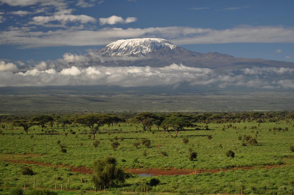 Kilima Safari Camp 36/49