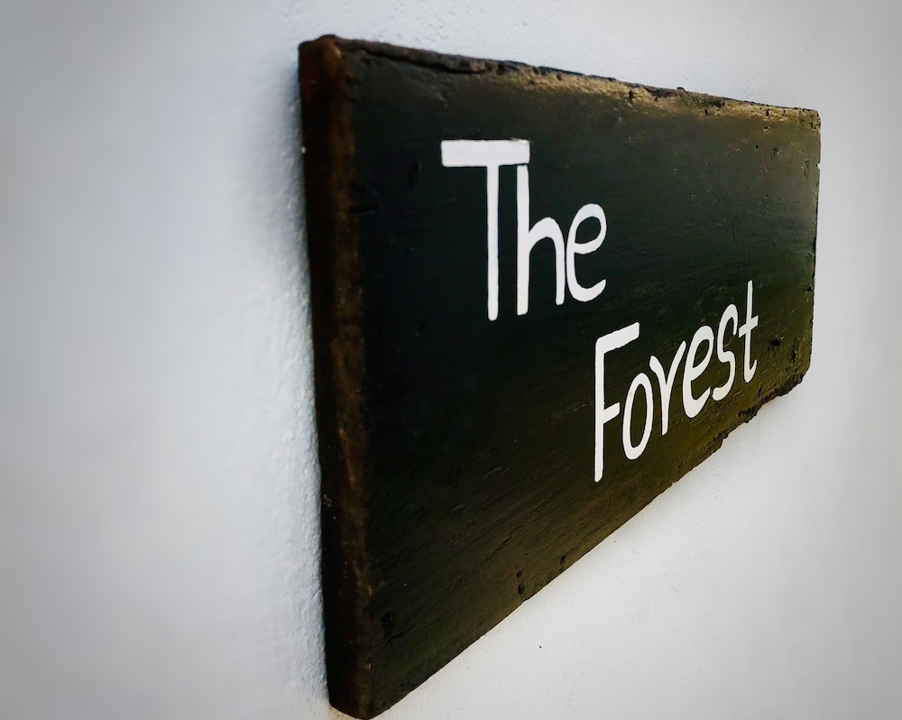 The Forest photo3