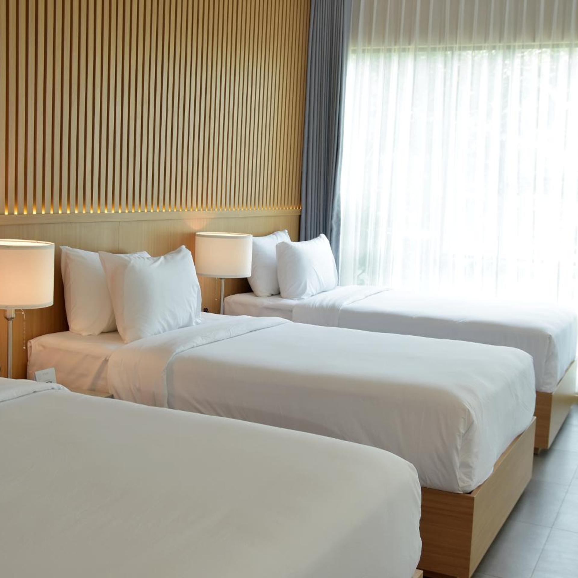 Sarga Earthing Resort 14/50