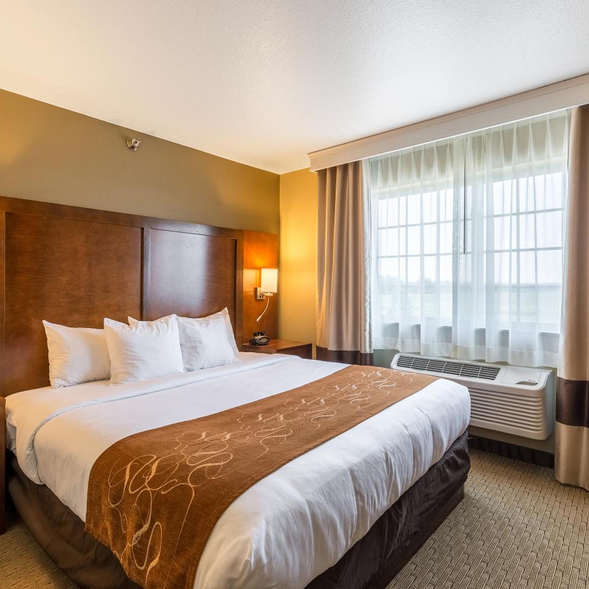 Upgrade, Suite, King Bed, Sofa