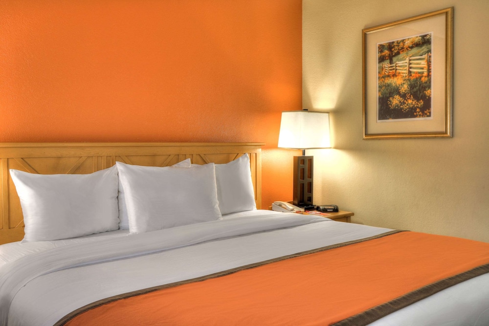 Econo Lodge Pigeon Forge Riverside 21/34