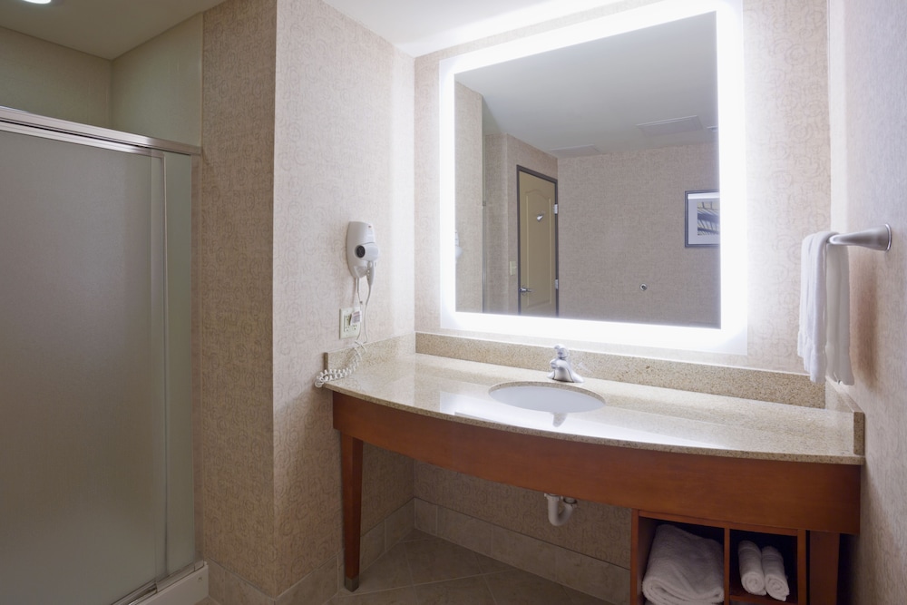 Holiday Inn Hotel Suites Maple Grove Nw Mpls Arbor Lks 22/76