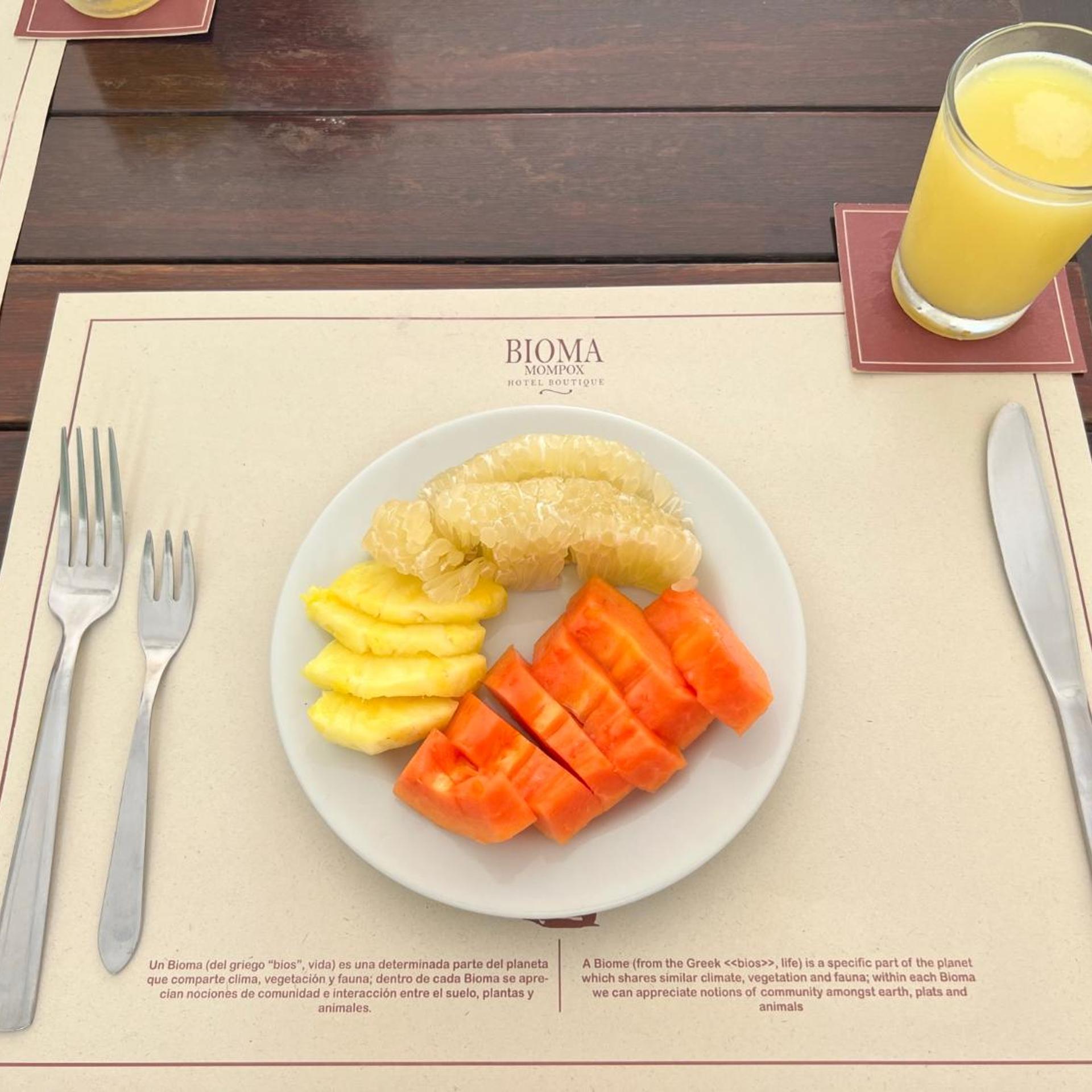 Bioma Boutique Hotel 23/50