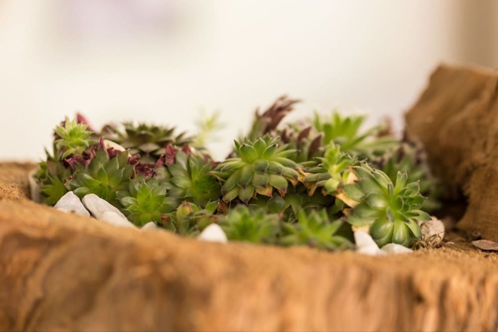 Das ACKER Hotel 43/46
