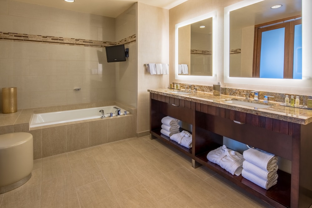 Doubletree By Hilton San Francisco Airport 24/85