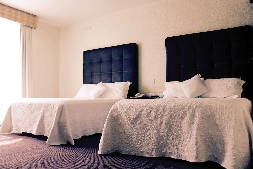 Wyndham Garden Aguascalientes Hotel and Casino 13/50