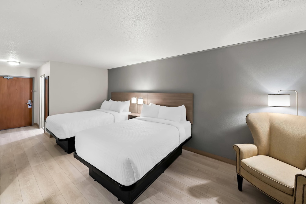 Upgrade, Suite, 2 Double Beds
