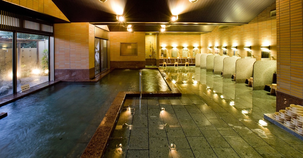 Mikawa Bay Hills Hotel 15/35