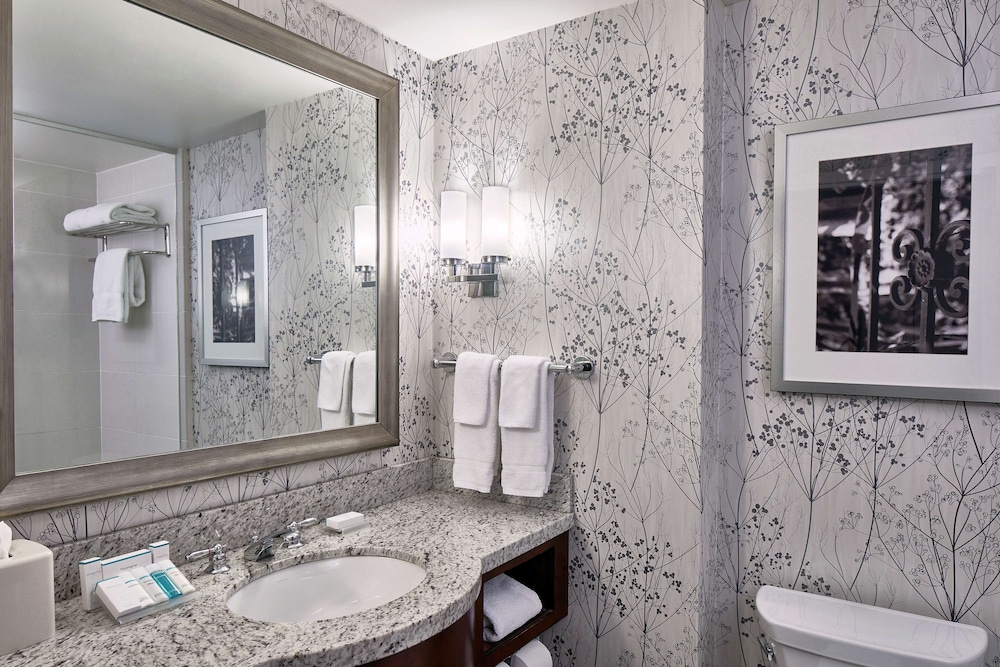 Hilton Garden Inn Atlanta Midtown 6/49