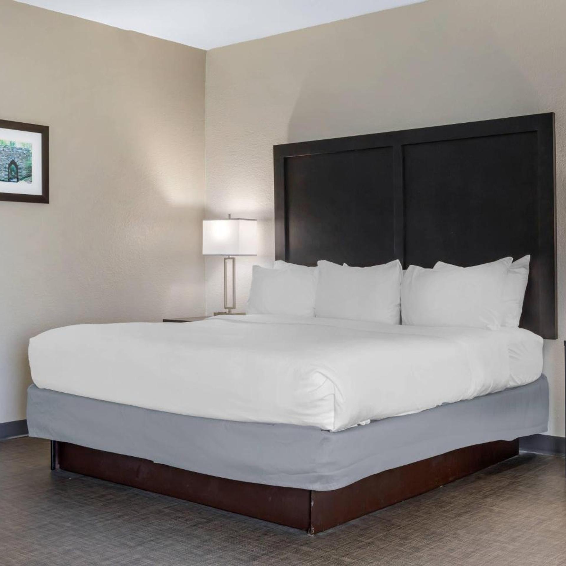 Suite, King Bed, Sofa