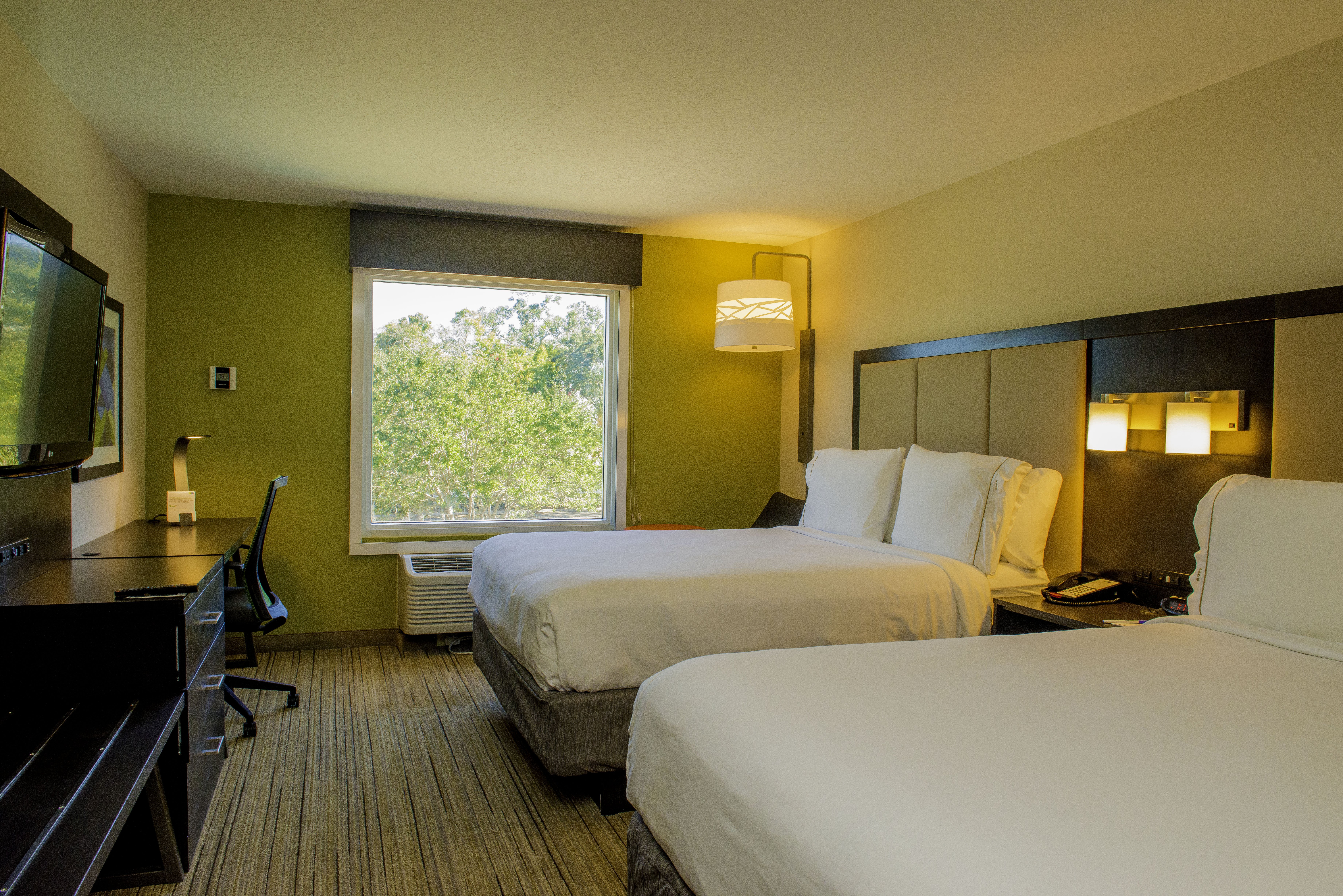 Holiday Inn Express and Suites St. Petersburg North (I-275), an IHG Hotel 19/58