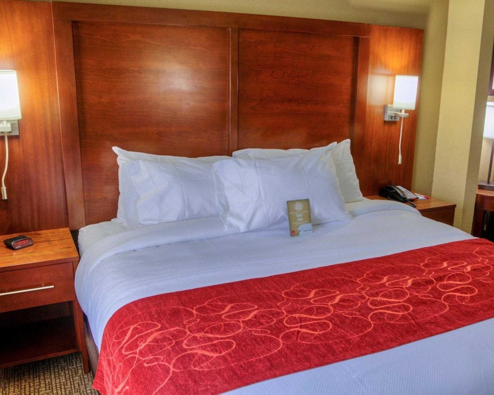 Comfort Suites Plymouth Near Us-30 14/38