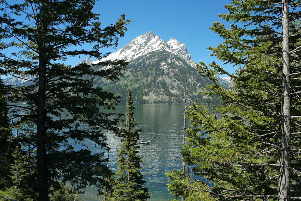 Jackson Lake Lodge 37/48