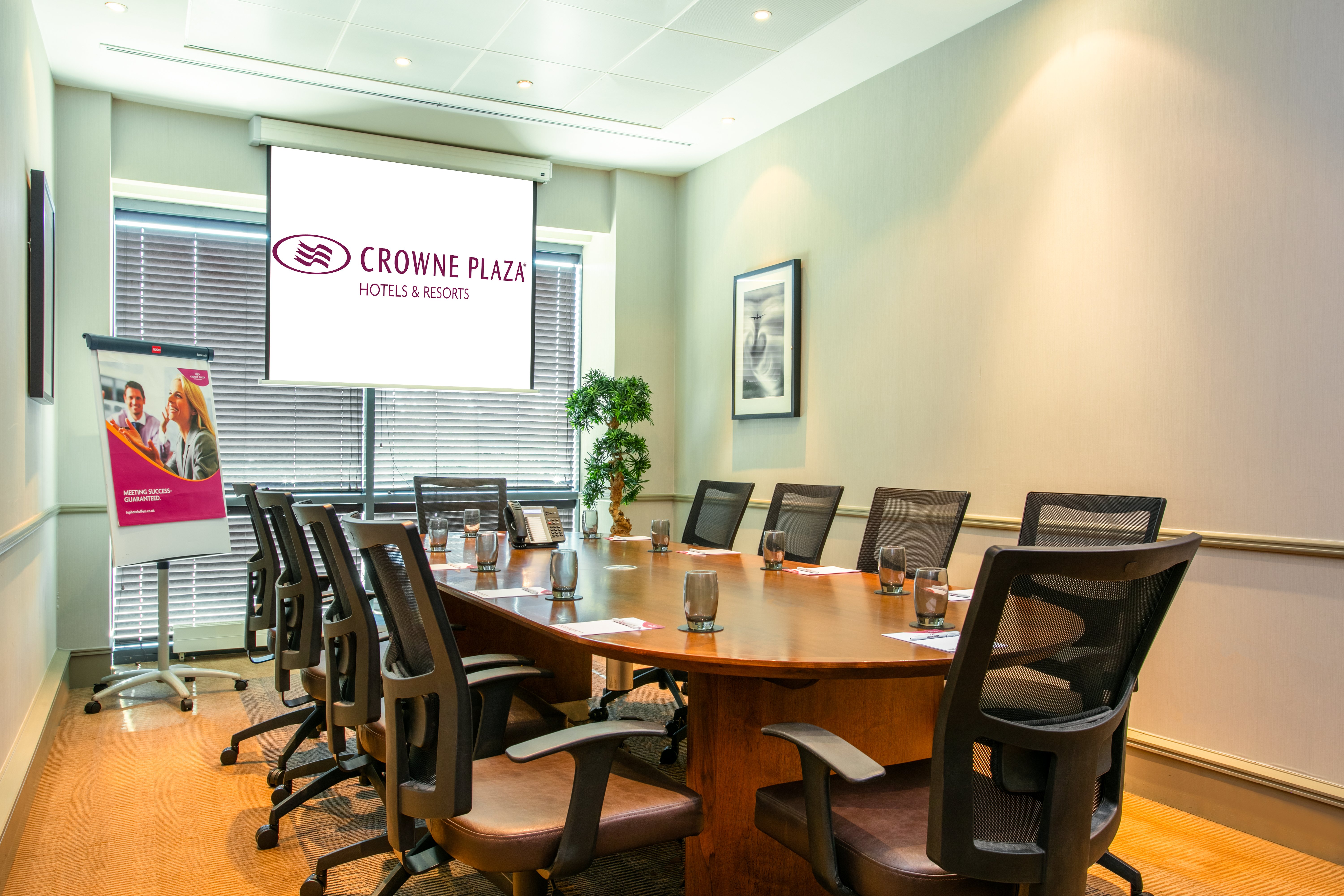 Crowne Plaza Birmingham Nec 69/77