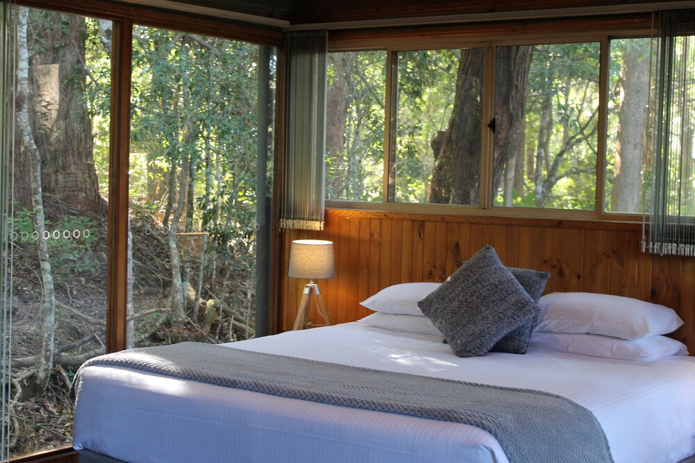 Kondalilla Eco Resort 11/47