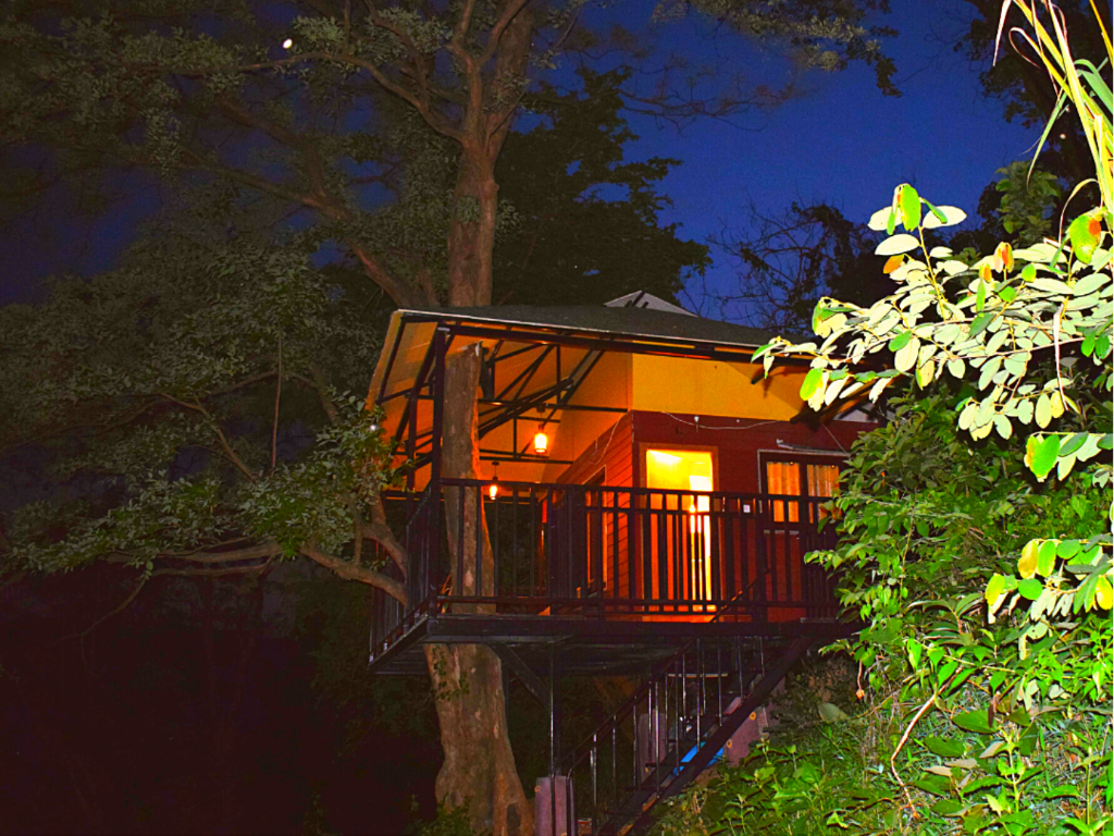 Brahmaputra Jungle Resort 2/42