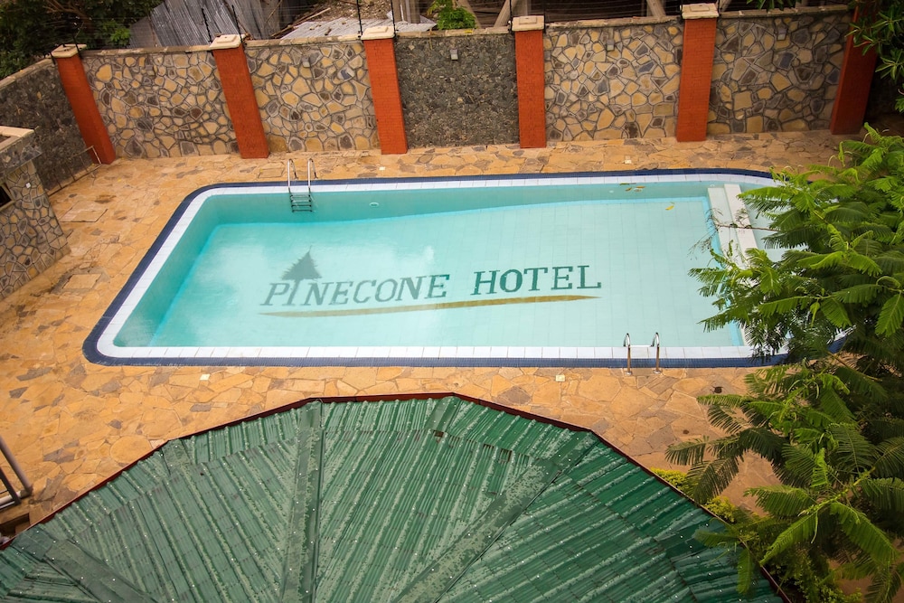 Pinecone Hotel 32/59
