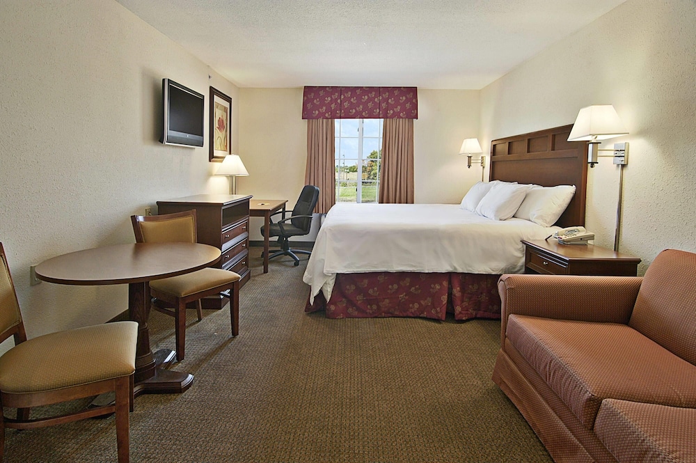 Suite, King Bed