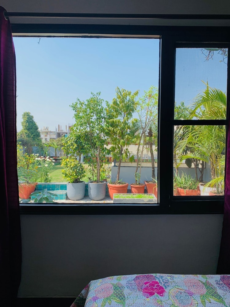 Hotel Vandana S Bed And Breakfast 23/50