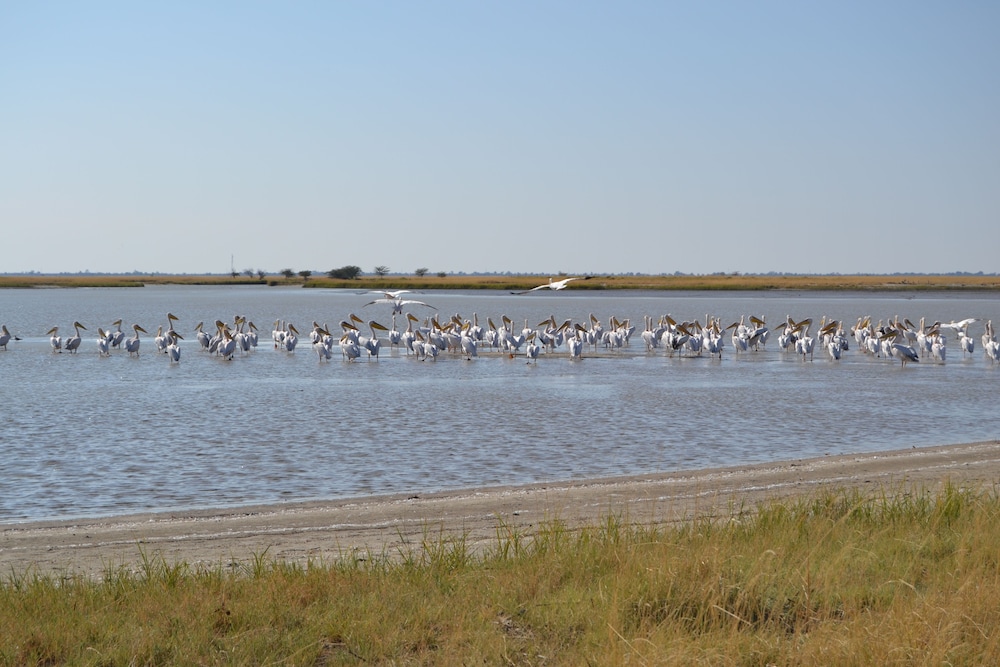 Chobe Sunset Chalets 37/49