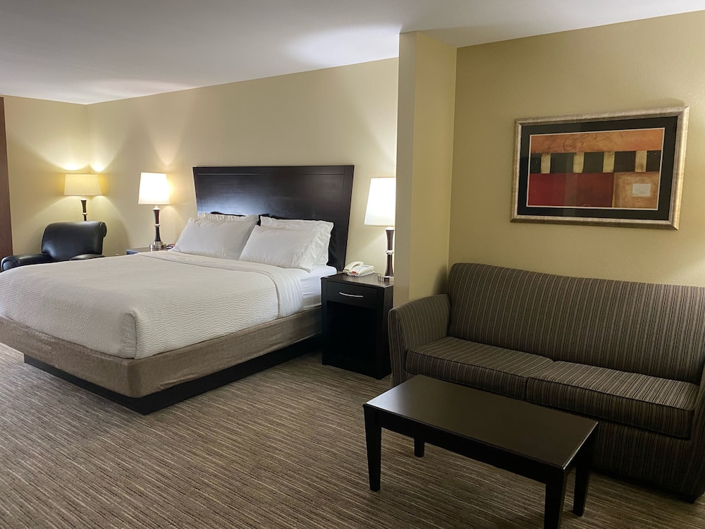 Holiday Inn Express Hotel Suites Snyder 19/54