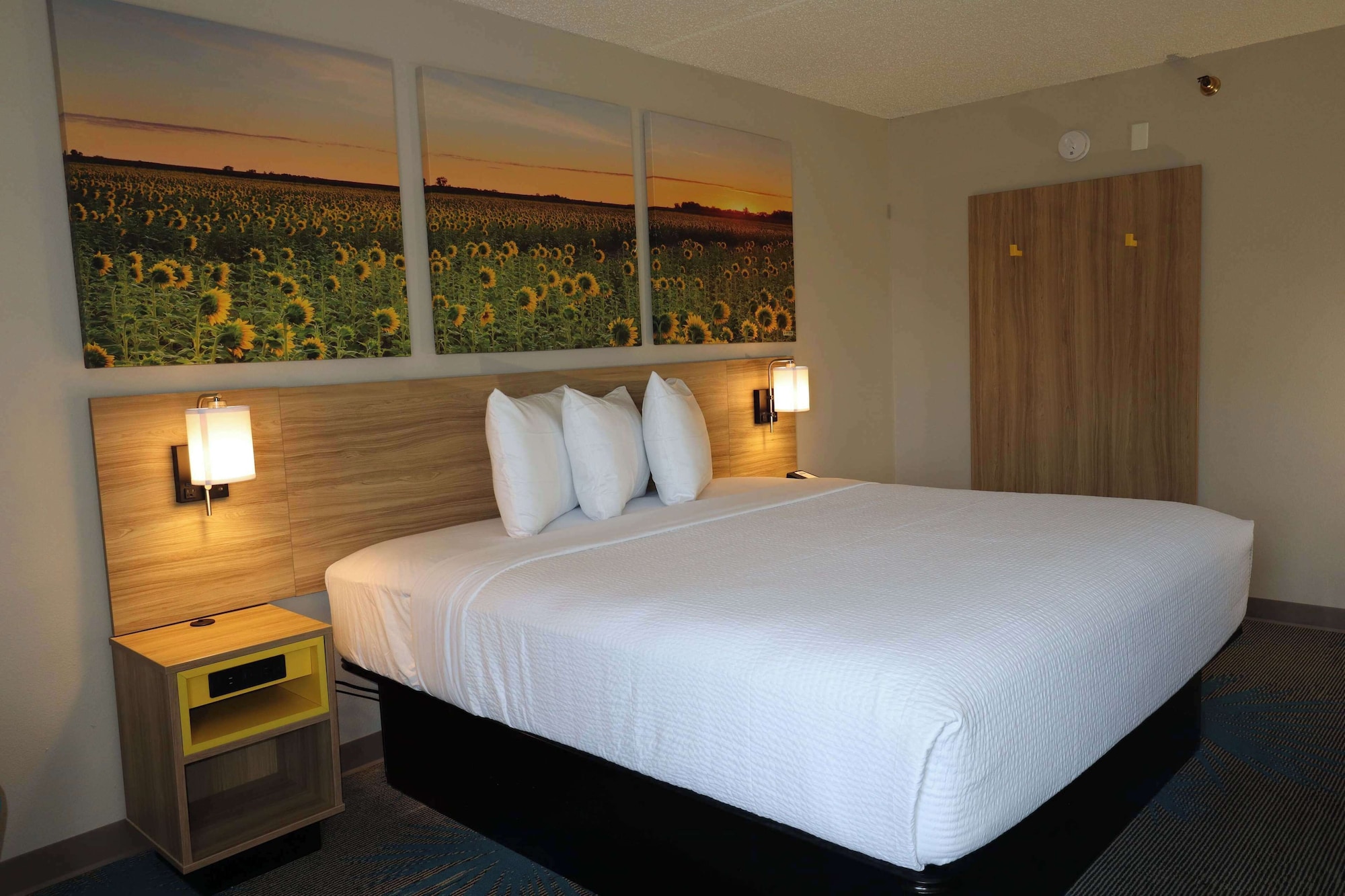 Room, King Bed