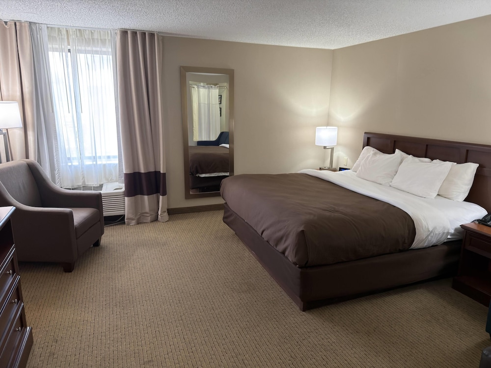 Efficiency, Suite, King Bed