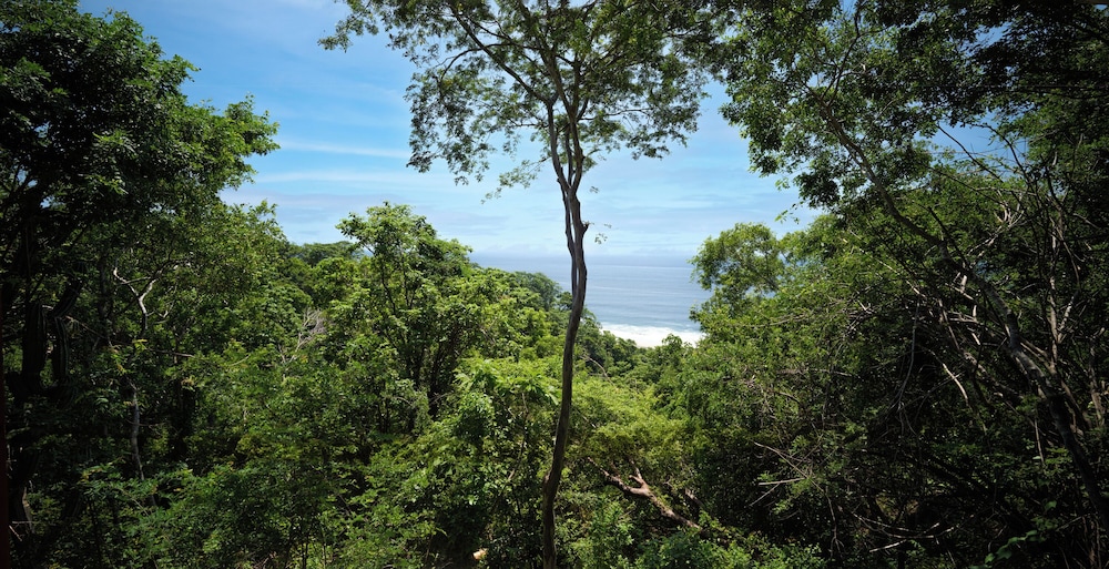 Cocolia Hotel - Adults Only 32/50