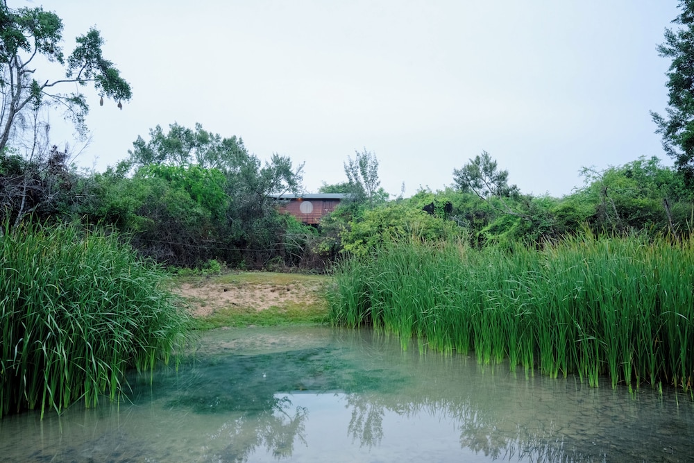 Leopard Nest Luxury Campsite 42/50