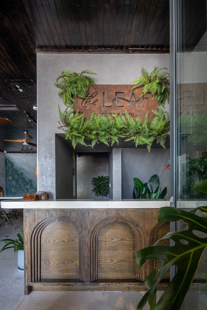 The Leaf Boutique Hotel 7/50