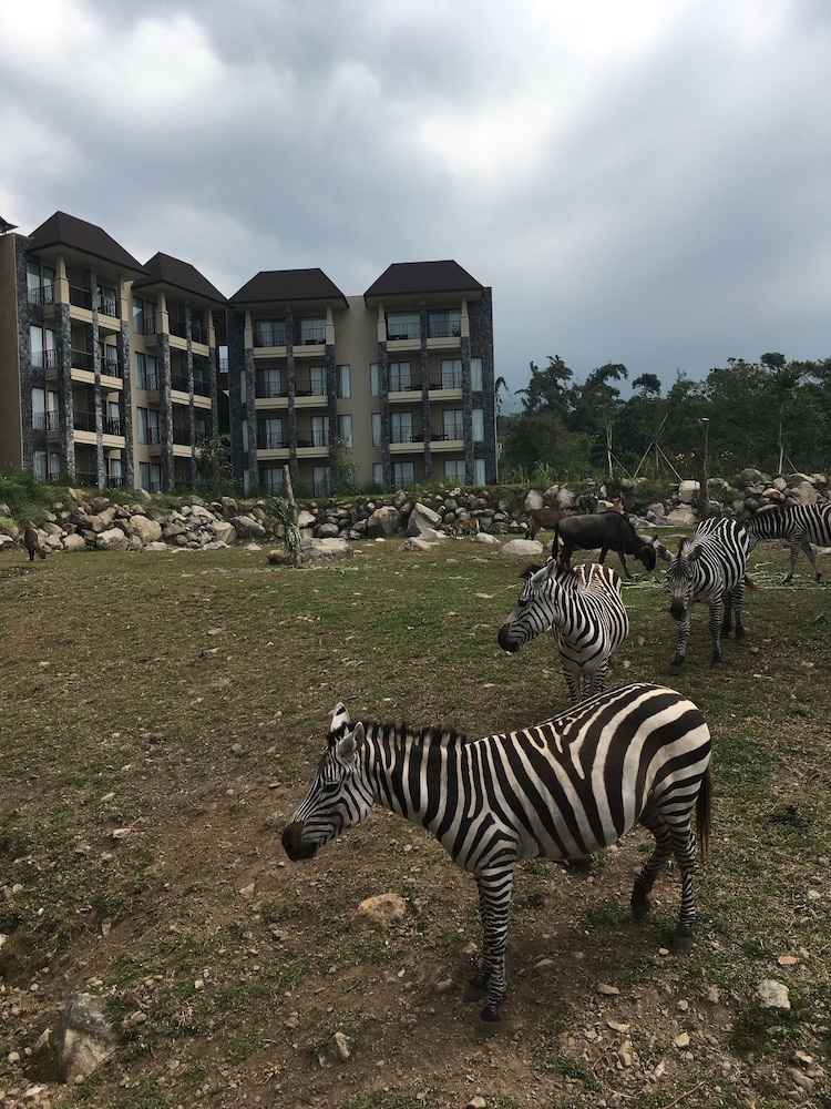 Baobab Safari Resort 33/39